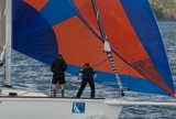 deja vu gbr3949r fri ss09 gjc 5603